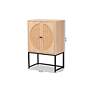 Ardon 26 3/4" Wide Light Brown Rattan 2-Door Storage Cabinet
