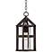 Argentine 16" High Clear Seedy Glass Outdoor Hanging Light