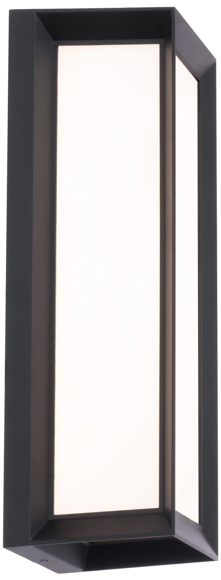 Argo 16"H x 6"W 5Light Outdoor Wall Light in Black 747D6 Lamps Plus