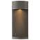 Aria 17 1/4"H Brown Outdoor Wall Light by Hinkley Lighting