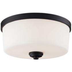 Arlington 14" Wide Oil-Rubbed Bronze Ceiling Light
