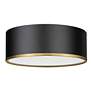 Arlo 16" Wide Matte Black and Rubbed Brass Ceiling Light in scene