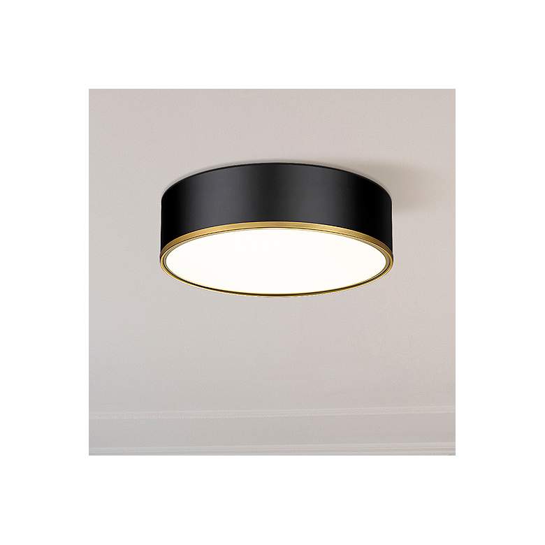 Image 1 Arlo 20 1/4" Wide Matte Black and Rubbed Brass Ceiling Light