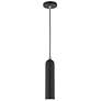 2_Armored 1 Light Black Pendant
