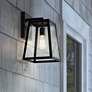 Arrington 13" High Glass and Mystic Black Outdoor Wall Light