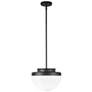 1_Artcraft Dahlia 12" Wide Black Dome Mini Pendant