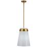 1_Artcraft Dahlia 12" Wide Brushed Brass Mini Pendant