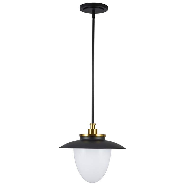 Image 1 Artcraft Dahlia 15" Wide Black and Brass Pendant Light