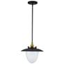 1_Artcraft Dahlia 15" Wide Black and Brass Pendant Light