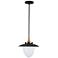 Artcraft Dahlia 15" Wide Black and Brass Pendant Light