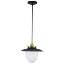 Artcraft Dahlia 15" Wide Black and Brass Pendant Light