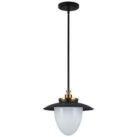 Image2 of Artcraft Dahlia 15" Wide Black and Brass Pendant Light more views