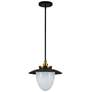 2_Artcraft Dahlia 15" Wide Black and Brass Pendant Light more views