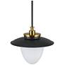 3_Artcraft Dahlia 15" Wide Black and Brass Pendant Light more views