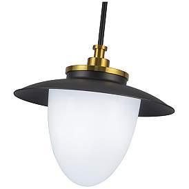 Image4 of Artcraft Dahlia 15" Wide Black and Brass Pendant Light more views