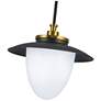 4_Artcraft Dahlia 15" Wide Black and Brass Pendant Light more views