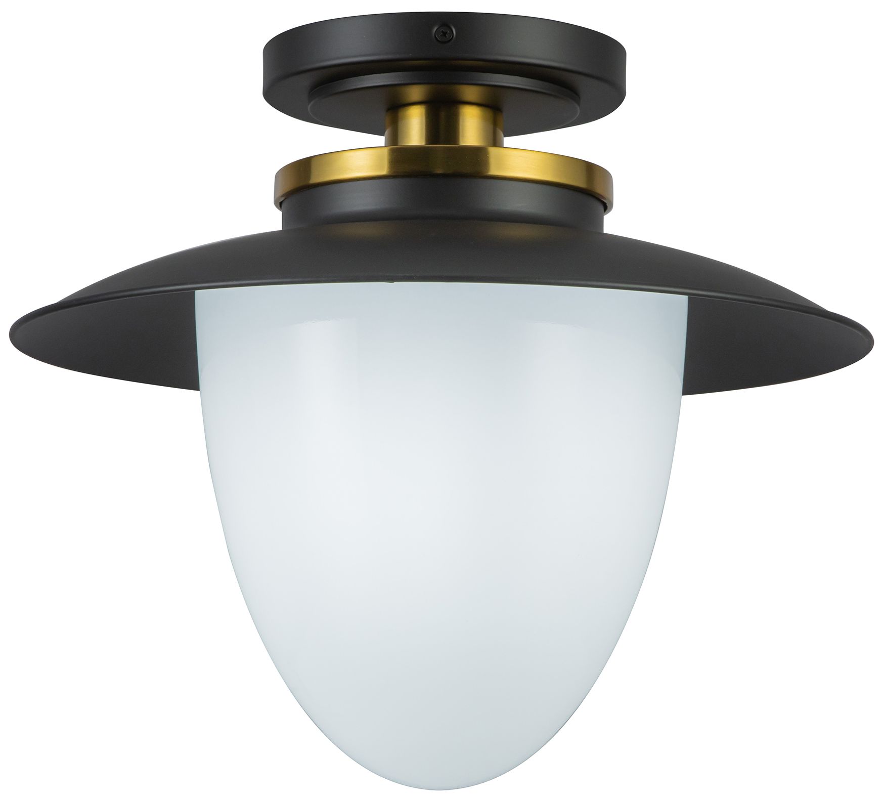 Artcraft Dahlia 15" Wide Black and Brass Pendant Light