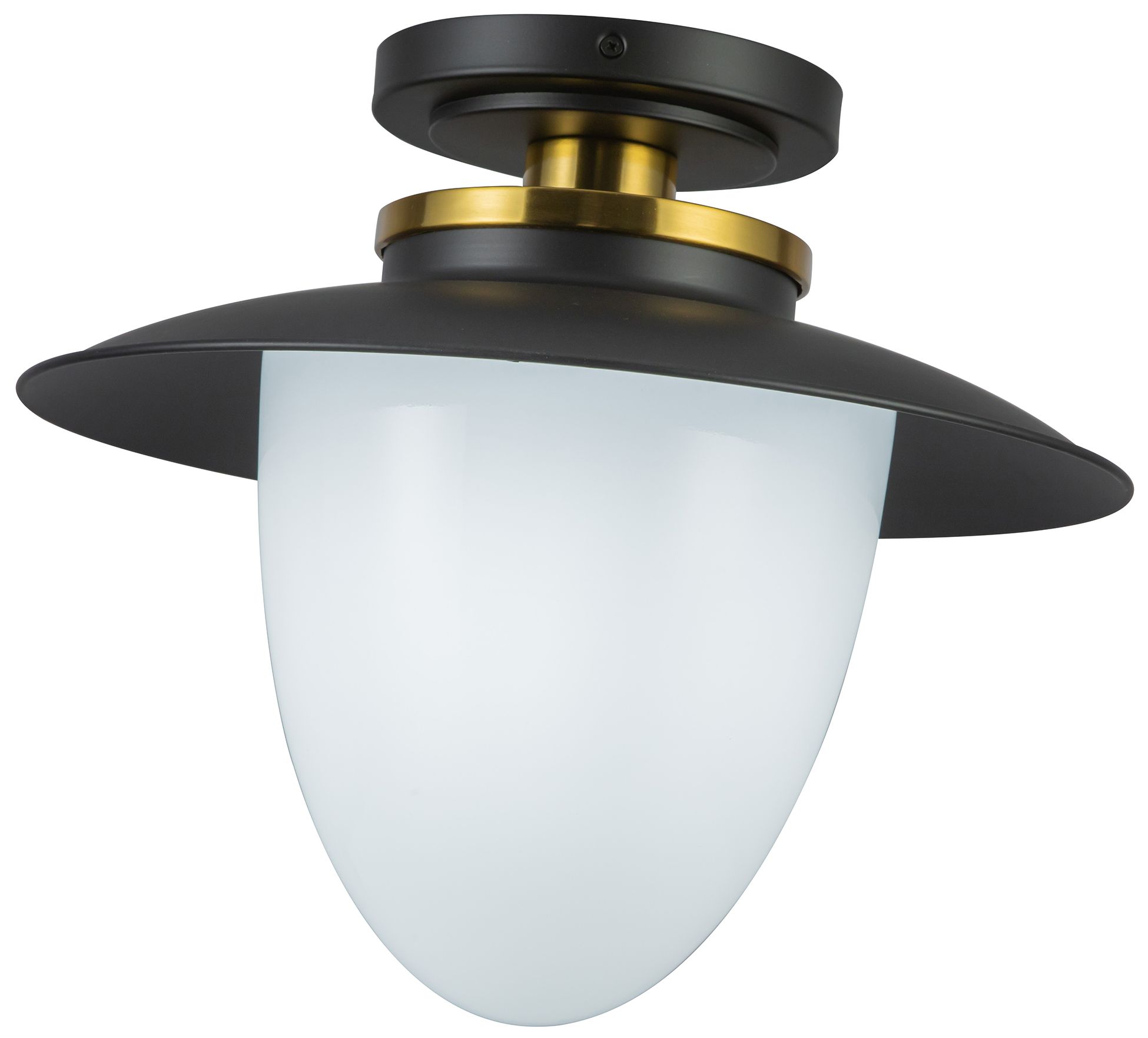 Artcraft Dahlia 15" Wide Black and Brass Pendant Light