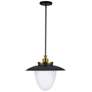 1_Artcraft Dahlia 20" Wide Black and Brass Pendant Light