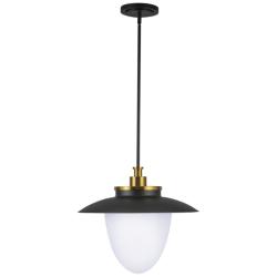Artcraft Dahlia 20" Wide Black and Brass Pendant Light