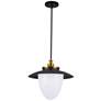 2_Artcraft Dahlia 20" Wide Black and Brass Pendant Light more views