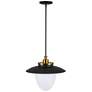 3_Artcraft Dahlia 20" Wide Black and Brass Pendant Light more views
