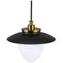 4_Artcraft Dahlia 20" Wide Black and Brass Pendant Light more views