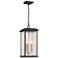 Artcraft Estate 18" High Black 3-Light Outdoor Hanging Light