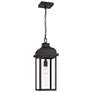 1_Artcraft Madrid 20 1/2" High Black Outdoor Hanging Light
