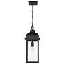 2_Artcraft Madrid 20 1/2" High Black Outdoor Hanging Light more views
