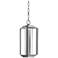Artcraft Wexford 15"H Silver LED Outdoor Hanging Light