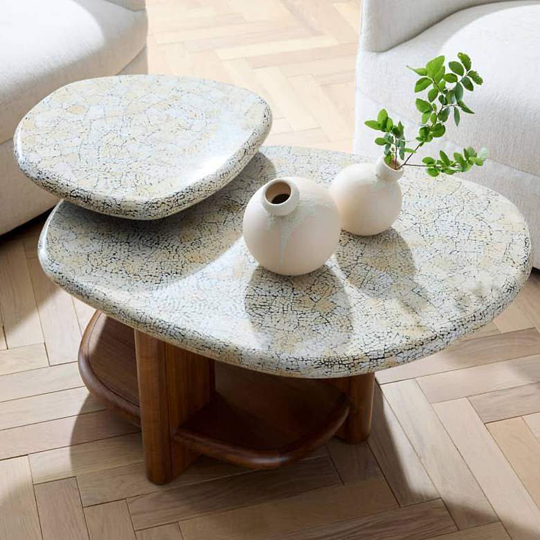 Image 1 Arteriors Forney Coffee Table Natural Eggshell
