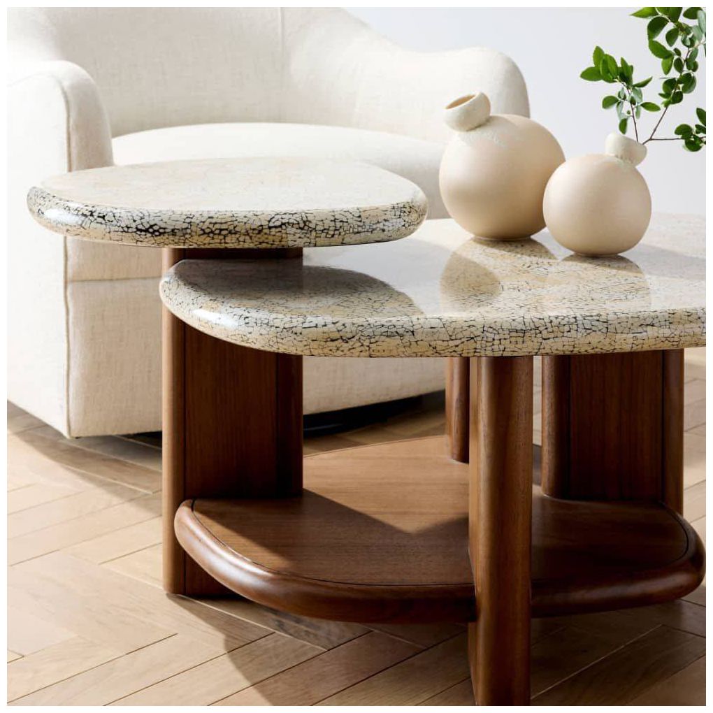Arteriors  Forney Coffee Table Natural Eggshell