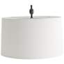 6_Arteriors Howes Iron Lamp Natural Iron more views