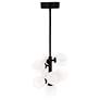4_Arya 8 Light Pendant With Black Finish more views