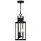 Ascott 3-Light Outdoor Hanging Lantern in Matte Black