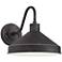 Ashe 10" High Iron Black Outdoor Wall Light