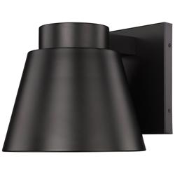 Asher 1 Light Outdoor Wall Sconce