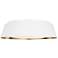 Asher 19" Wide Matte White Ceiling Light
