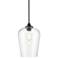 Ashford 10" Wide Matte Black and Clear Glass Mini Pendant