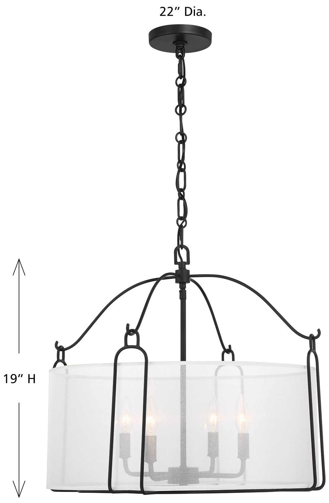 Ashlay 4-Light Pendant in Matte Black