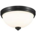 Z-Lite Ashton Black Collection
