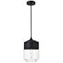 Ashwell 1 Lt Black Pendant With Clear Glass