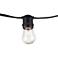 Aspen 24 Clear-Bulb 48' Indoor-Outdoor String Light