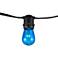 Aspen Blue 24-Bulb 48' Indoor-Outdoor String Light