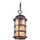 Aspen Collection 17 1/2" High Outdoor Hanging Light