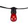 Aspen Red 24-Bulb 48' Indoor-Outdoor String Light