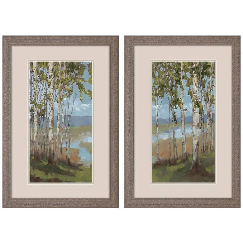 Image 1 Aspen Spring 21"W x 33"H Framed Art Set of 2