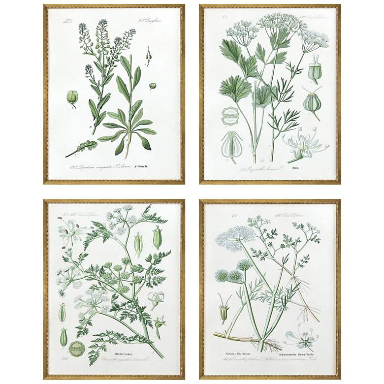 Image 3 Assemblage 25" High 4-Piece Giclee Framed Wall Art Set