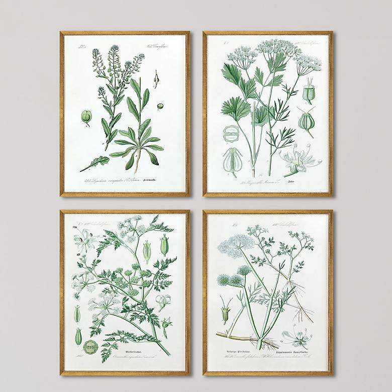 Image 2 Assemblage 25" High 4-Piece Giclee Framed Wall Art Set